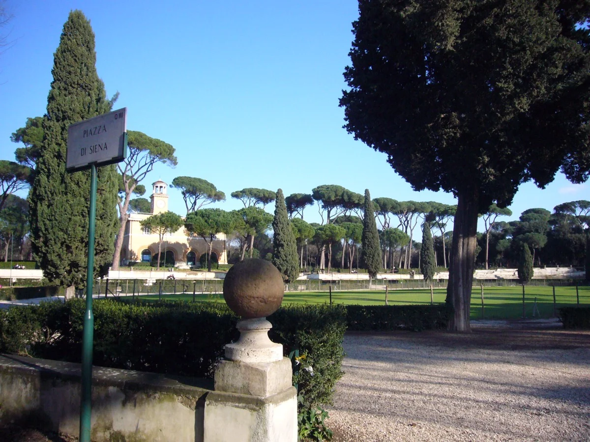 Pines in the Villa Borghese Gardens