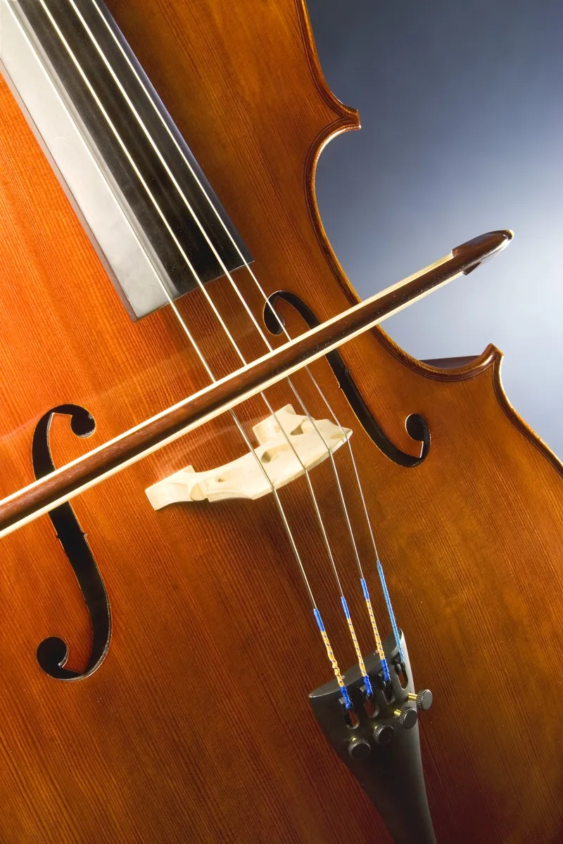 Cello instrument close-up