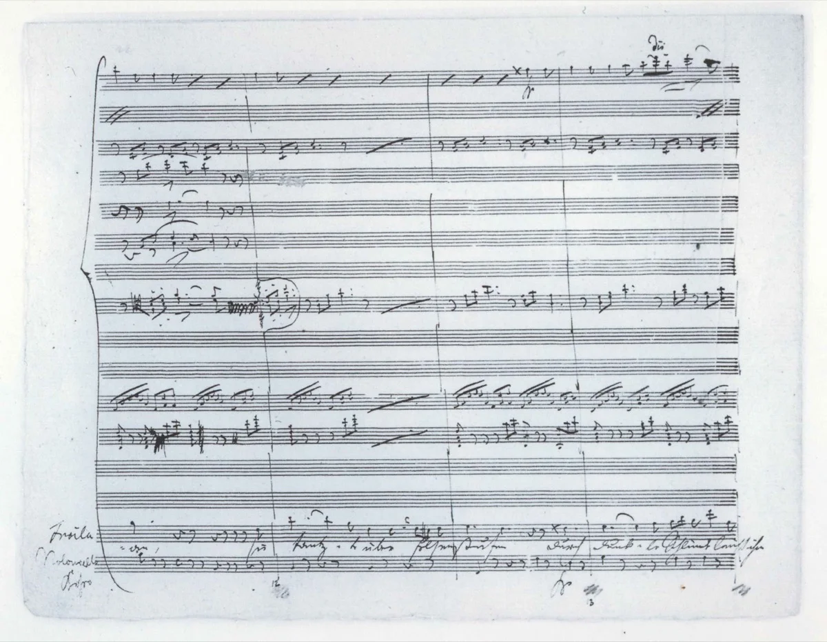 Schubert's Winterreise autograph manuscript